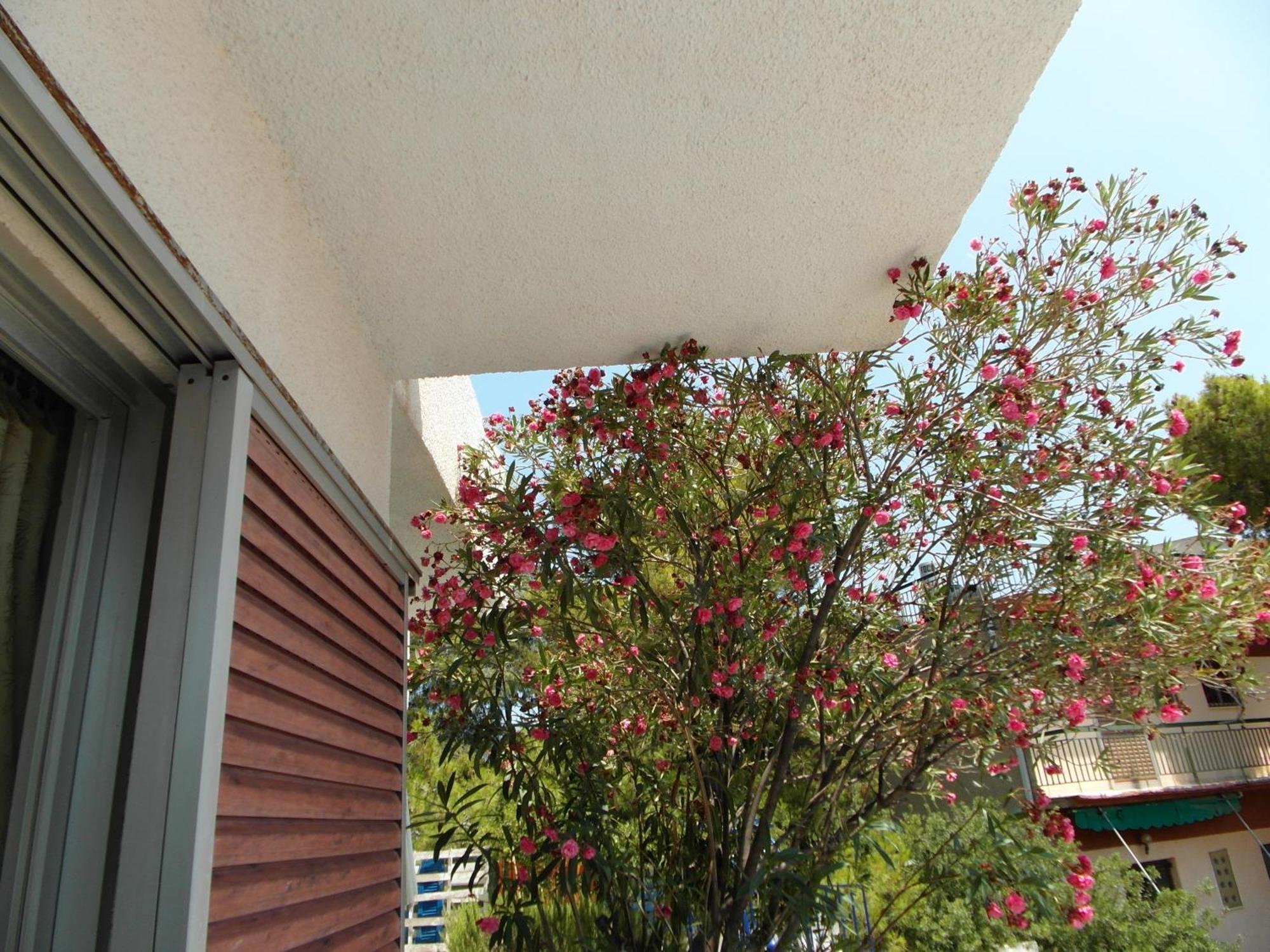 Eri Studios Agia Marina  Habitación foto